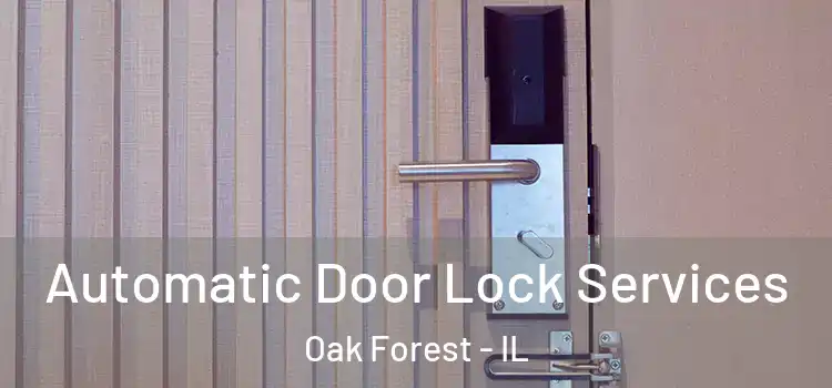 Automatic Door Lock Services Oak Forest - IL