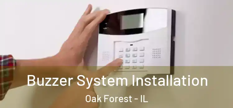 Buzzer System Installation Oak Forest - IL