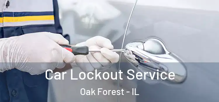 Car Lockout Service Oak Forest - IL