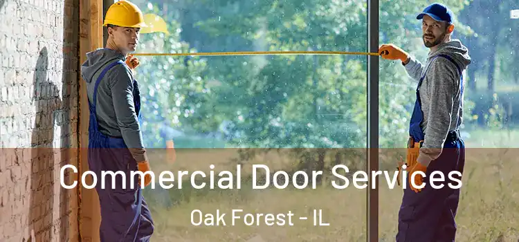 Commercial Door Services Oak Forest - IL