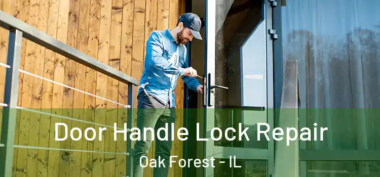 Door Handle Lock Repair Oak Forest - IL