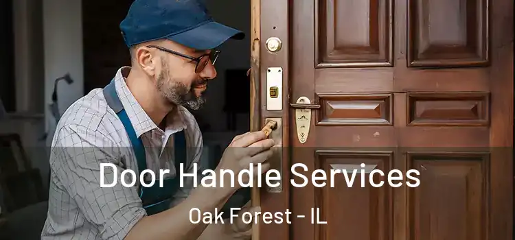Door Handle Services Oak Forest - IL