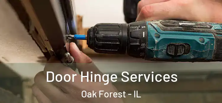 Door Hinge Services Oak Forest - IL