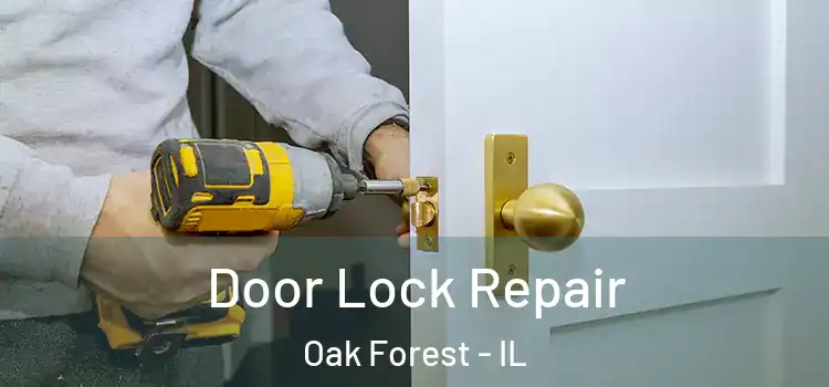 Door Lock Repair Oak Forest - IL