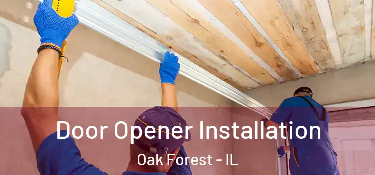 Door Opener Installation Oak Forest - IL