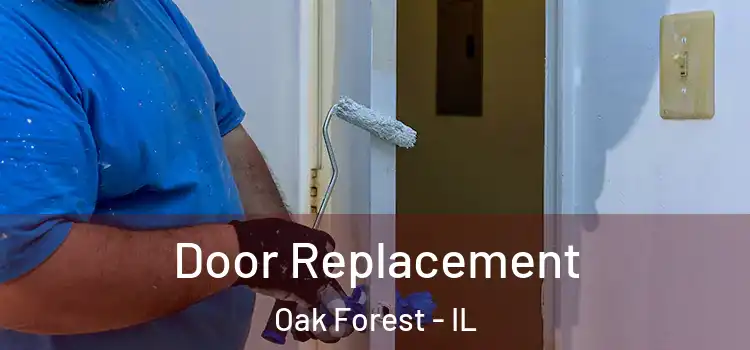 Door Replacement Oak Forest - IL