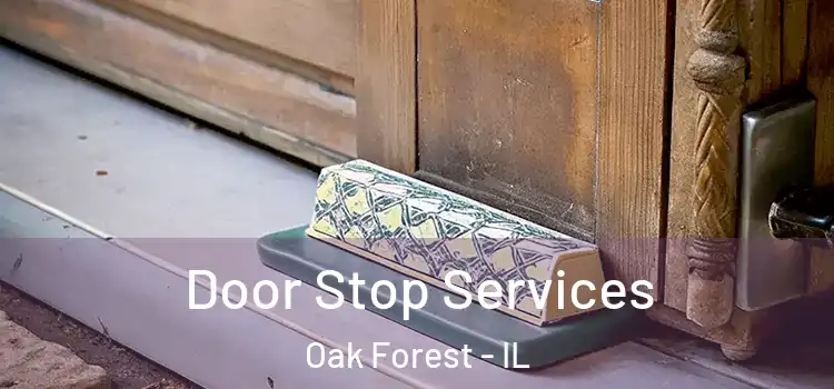 Door Stop Services Oak Forest - IL