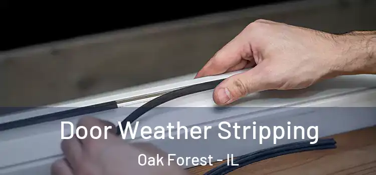Door Weather Stripping Oak Forest - IL