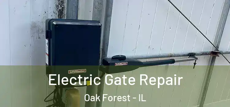 Electric Gate Repair Oak Forest - IL