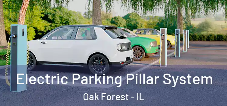 Electric Parking Pillar System Oak Forest - IL