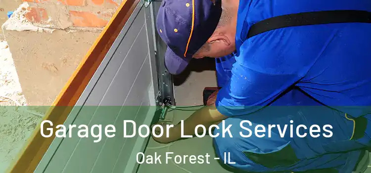 Garage Door Lock Services Oak Forest - IL