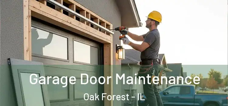 Garage Door Maintenance Oak Forest - IL