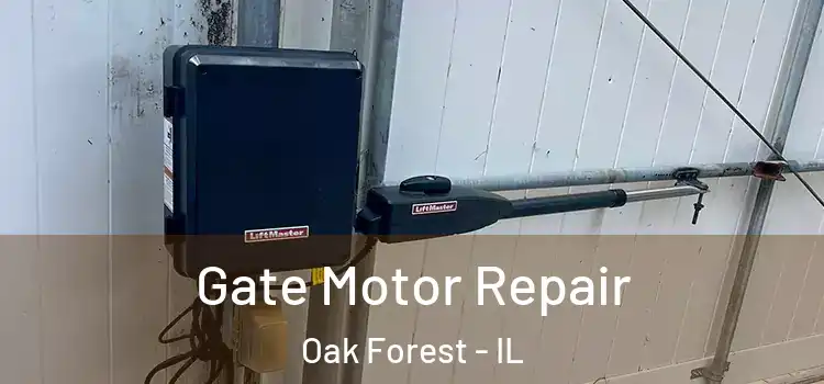 Gate Motor Repair Oak Forest - IL