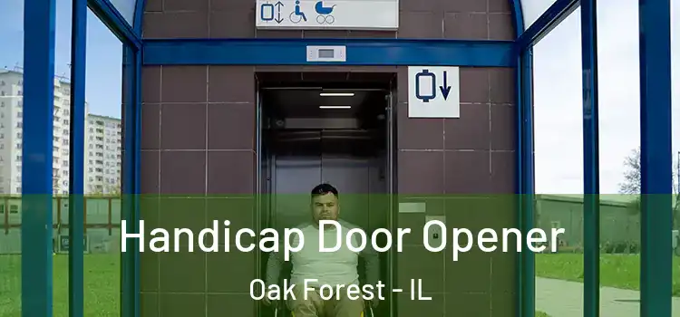 Handicap Door Opener Oak Forest - IL