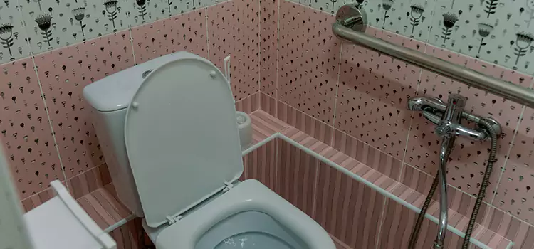 Meeting Diverse Needs With Accessible Restroom Solutions in Oak Forest, IL