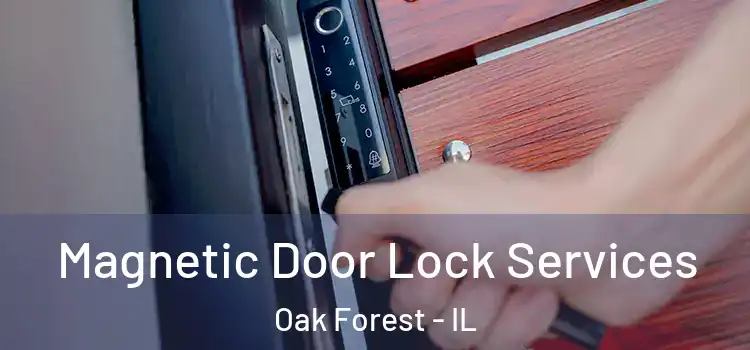 Magnetic Door Lock Services Oak Forest - IL