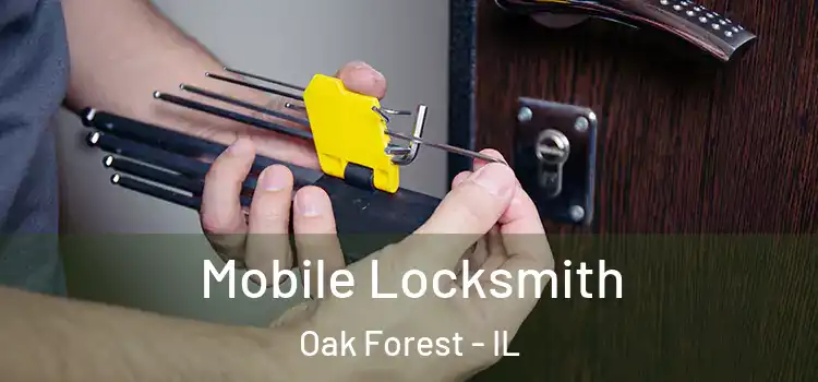 Mobile Locksmith Oak Forest - IL