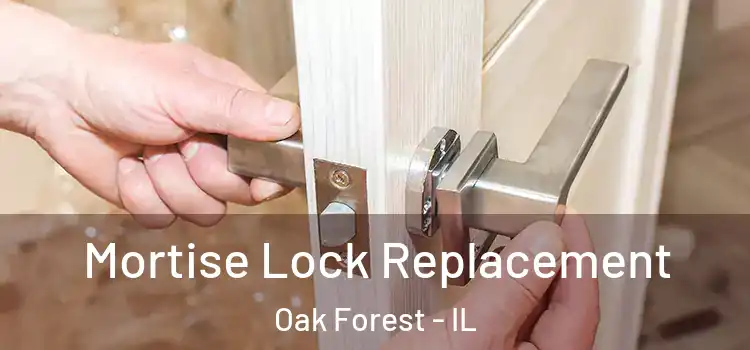 Mortise Lock Replacement Oak Forest - IL