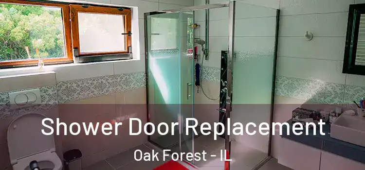 Shower Door Replacement Oak Forest - IL