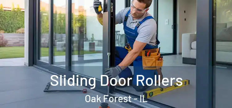Sliding Door Rollers Oak Forest - IL