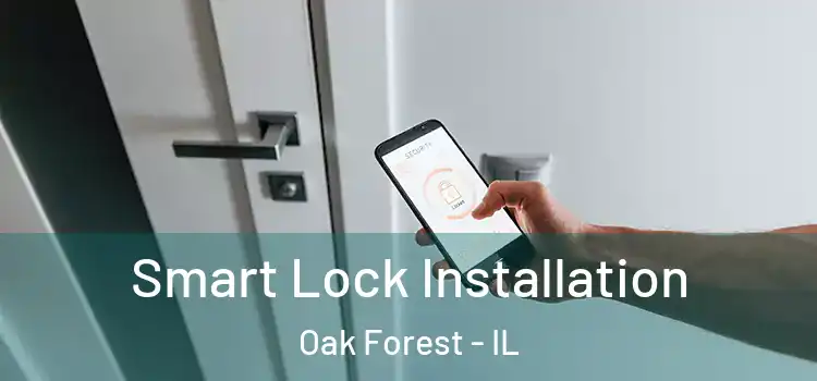 Smart Lock Installation Oak Forest - IL