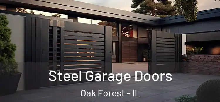 Steel Garage Doors Oak Forest - IL