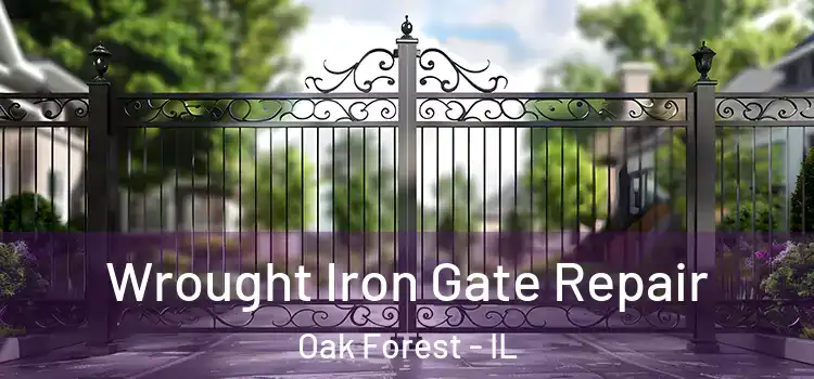 Wrought Iron Gate Repair Oak Forest - IL